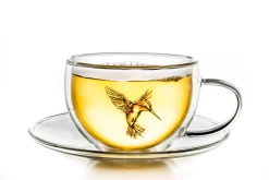 Creano 6er-Set Thermo-Tasses "Hummi" Für Tee/Latte Macchiato, Doppelwandig, Mit Kolibri-Muster | 250ml In Exklusiver Geschenkpackung -Küchendiscounter 0a71035cd8e453766d17f31904c8be3f