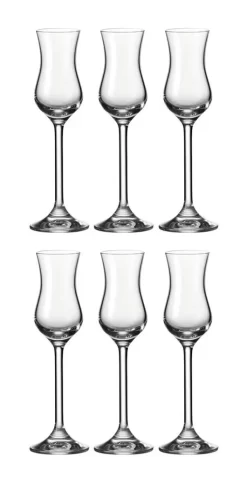 Leonardo Daily 6 Er Krt. Grappagläser -Küchendiscounter 3e8baf09972e402b4e6b630b391049d5