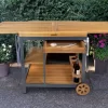 Asado Grilltisch Servierwagen Ally