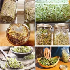 2x 750ml Sprossenglas Set Samenkeimer Mit Edelstahl Siebdeckel + Ständer, Das Sprossenglas Für Sprossen -Küchendiscounter 8b234f8ae95cbeb622e5c6138f8c4da1