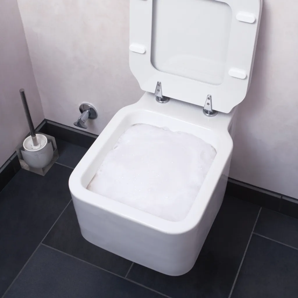 WC Reinigungsmittel Schaum Toiletten Reiniger Kraftschaum Intensiv Reinigung Toilettenschaum 1 WC Reinigungsmittel Schaum Toiletten Reiniger Kraftschaum Intensiv Reinigung Toilettenschaum
