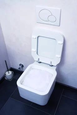 WC Reinigungsmittel Schaum Toiletten Reiniger Kraftschaum Intensiv Reinigung Toilettenschaum 31 WC Reinigungsmittel Schaum Toiletten Reiniger Kraftschaum Intensiv Reinigung Toilettenschaum -Küchendiscounter b2fe9267be7c734a5d9d11dc6224a156